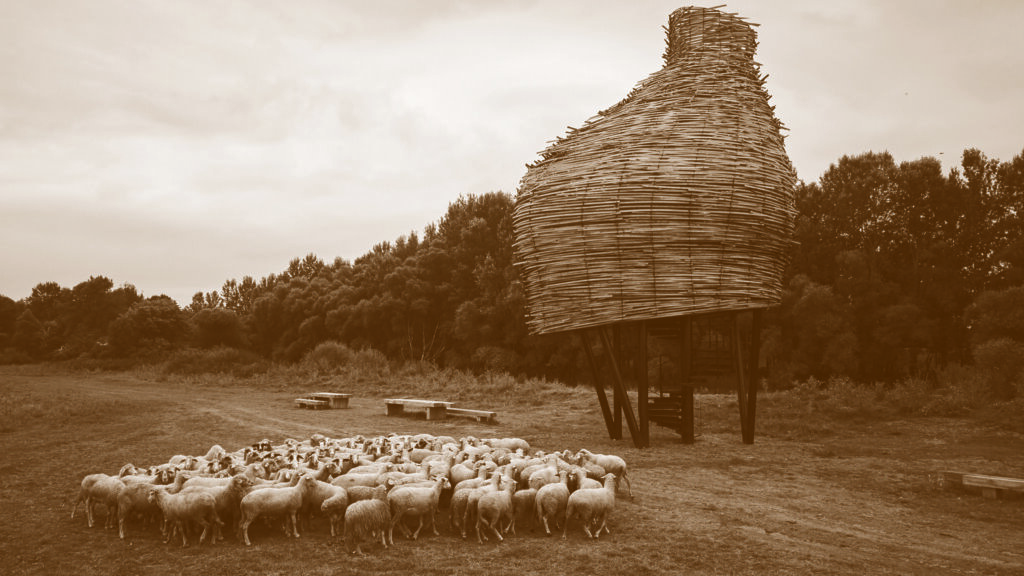 Same as it Ever Was, Promatračnica Čigoč
