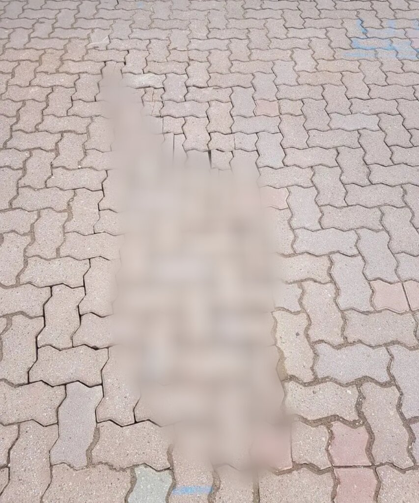 Prilaz
