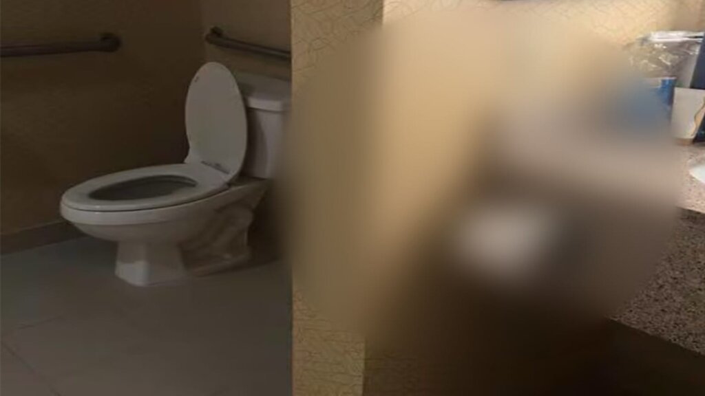 Nedohvatljivi WC papir blur