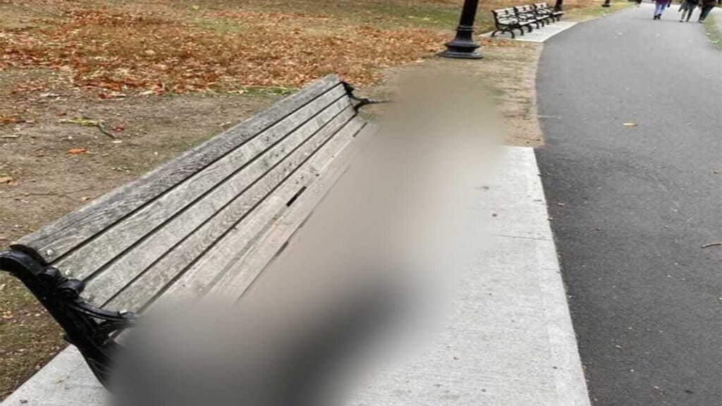 Dvije klupe spojene u jednu blur