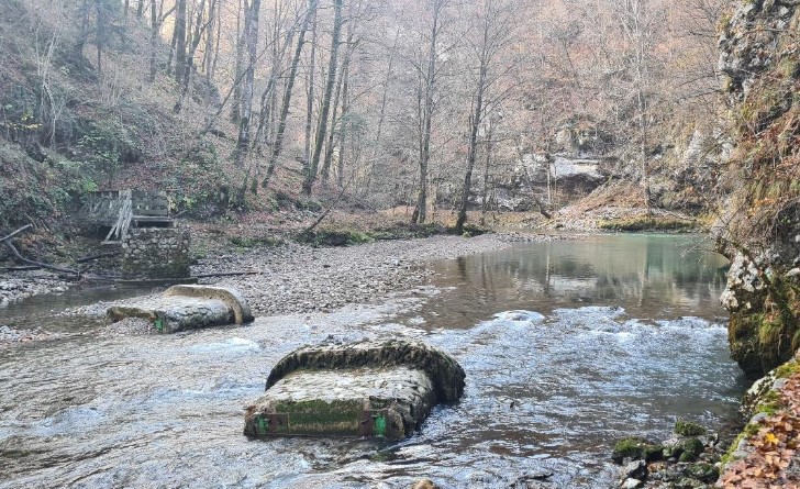 pješački most nacionalni park Risnjak