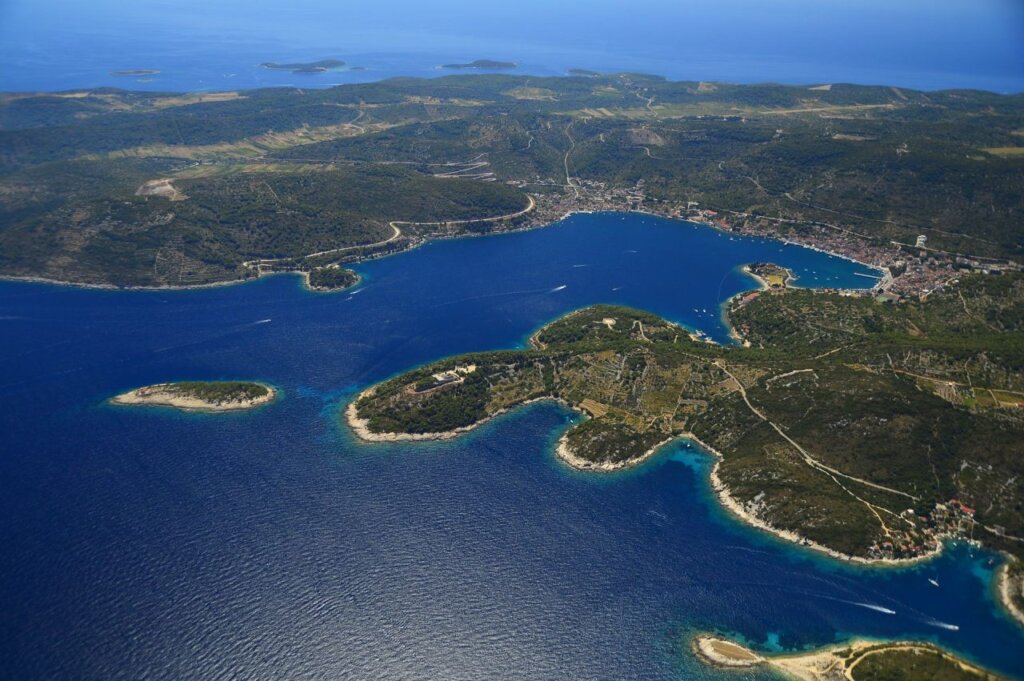Vis