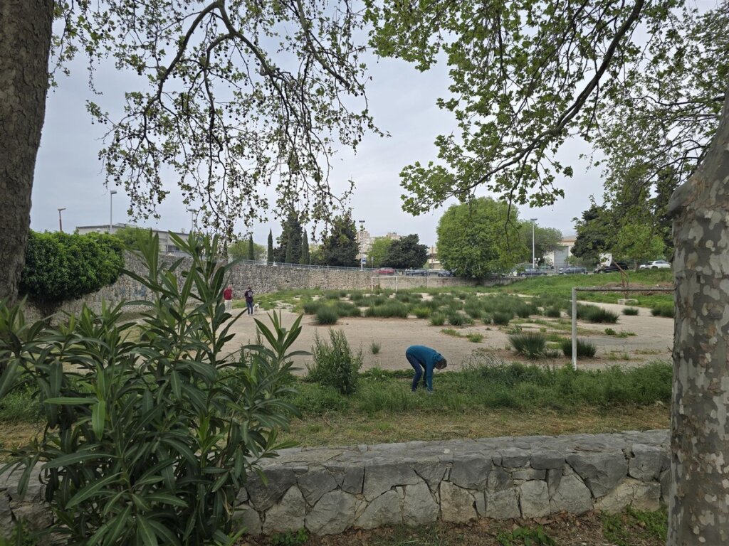 Trstenik Split