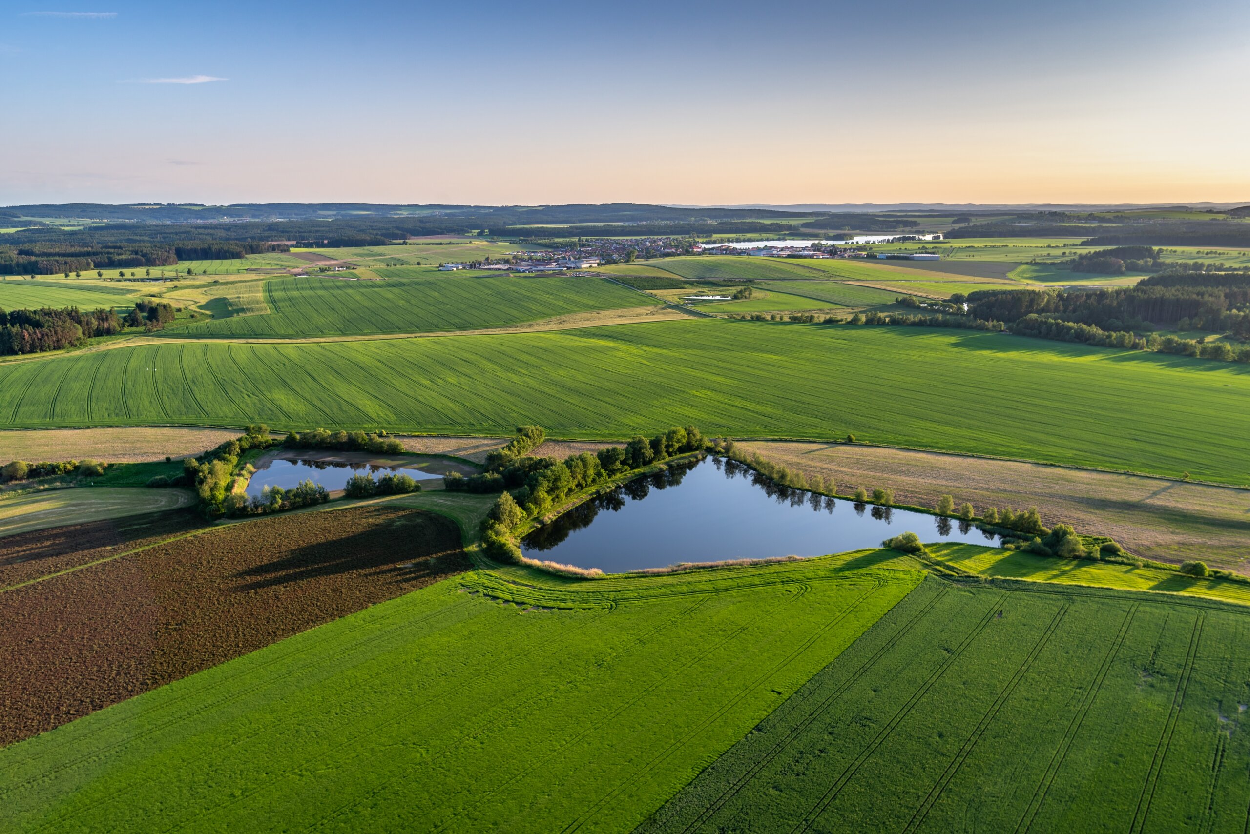 polja