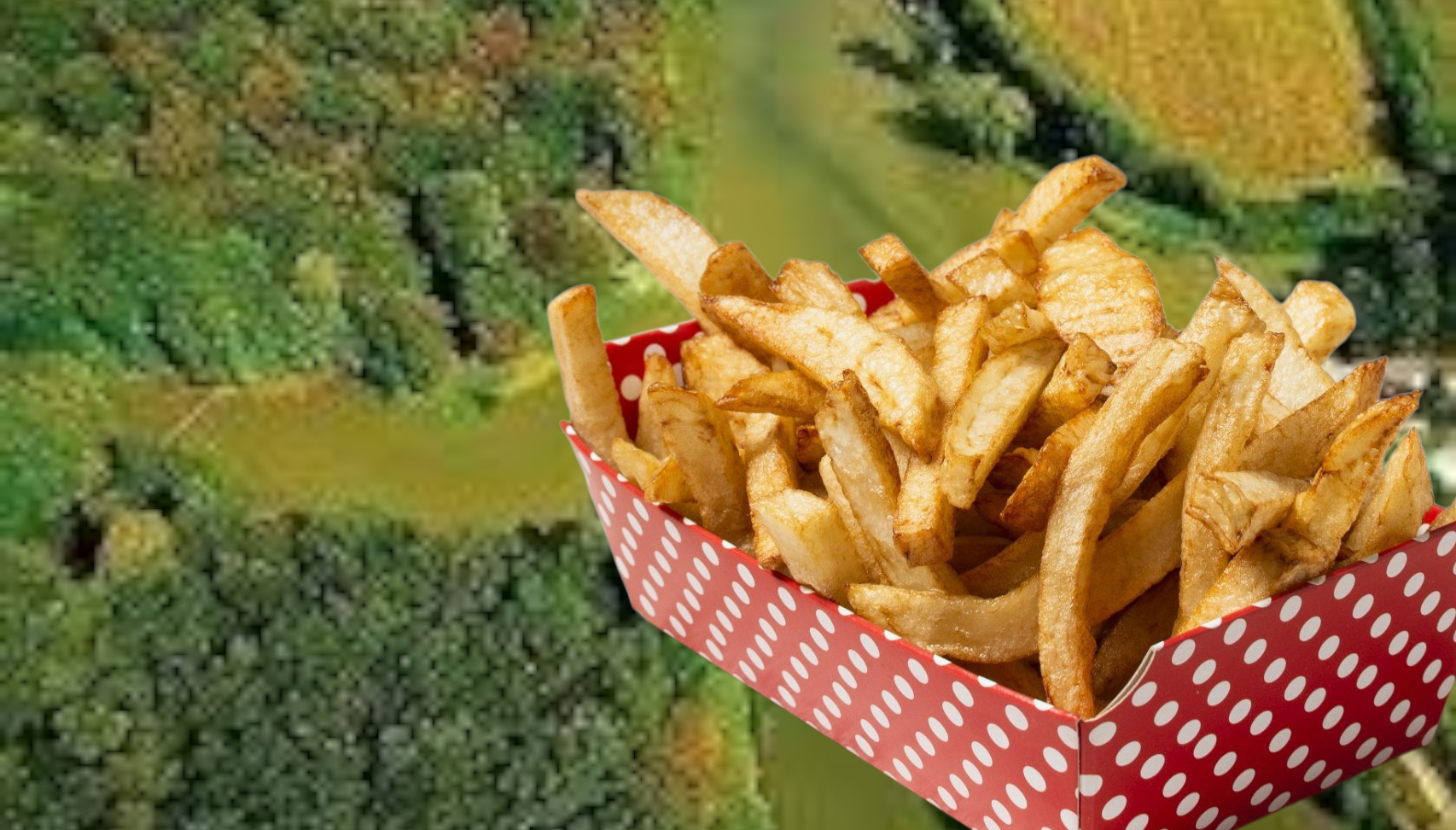 tvornica pomfrita