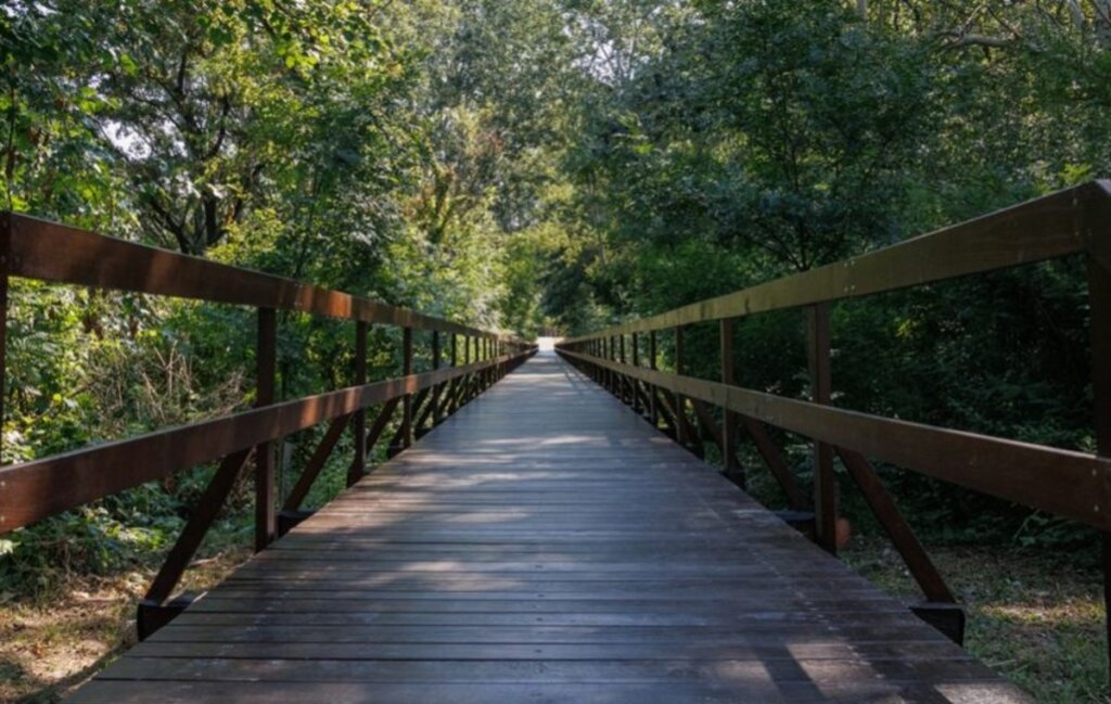 park šuma Adica
