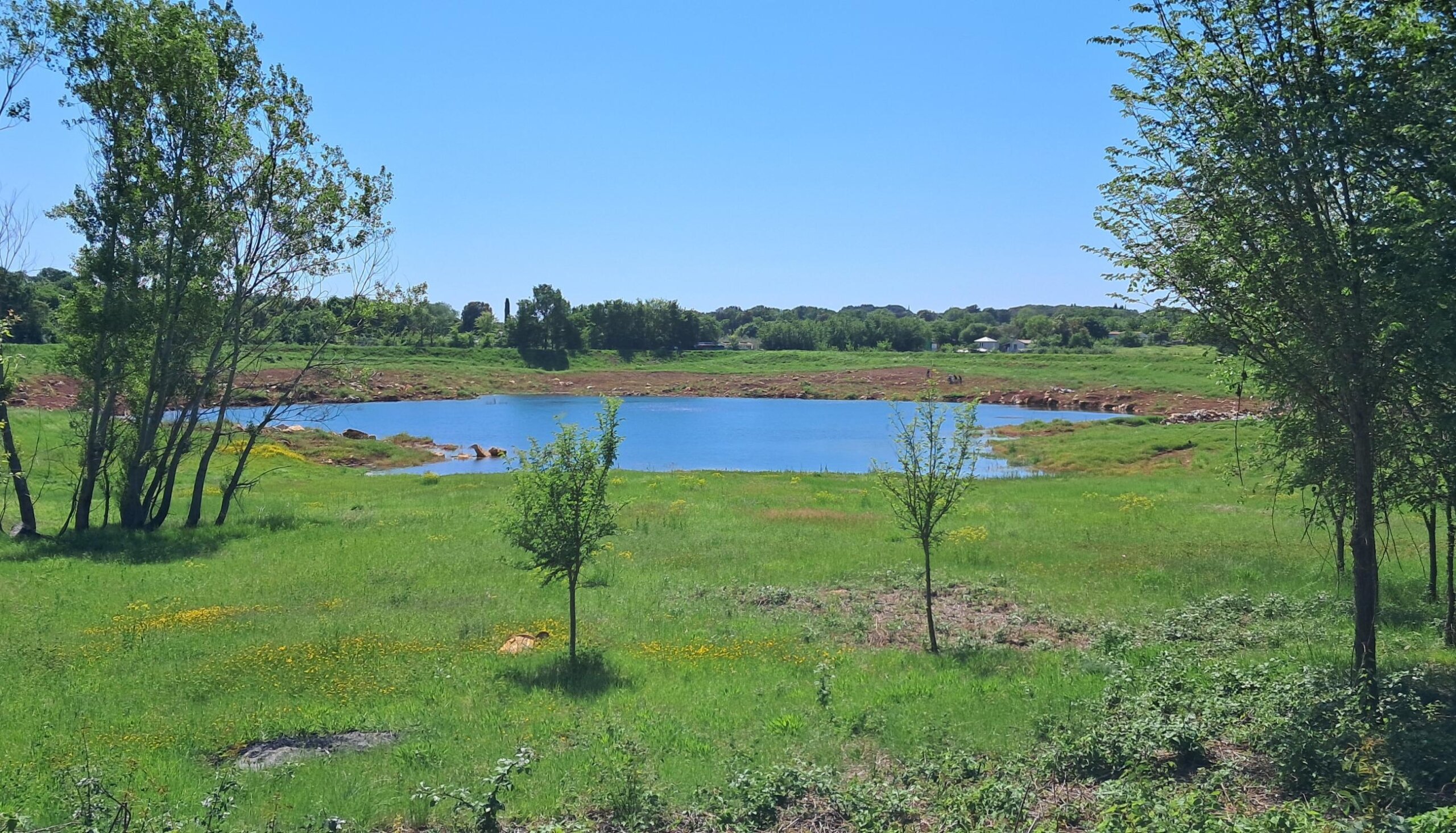 Retencija Mala sjenokoša