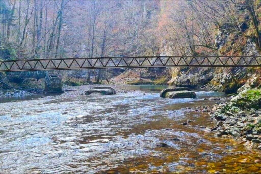 most Risnjak vizualizacija