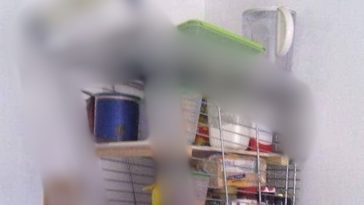 Foto: Kad ukradena kolica postanu zgodan detalj u interijeru