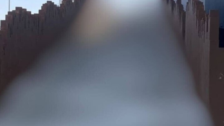 Foto: Kad majstor voli zavoje