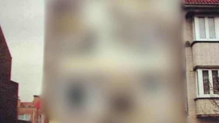 Foto: Kada majstor baš jako voli prozore