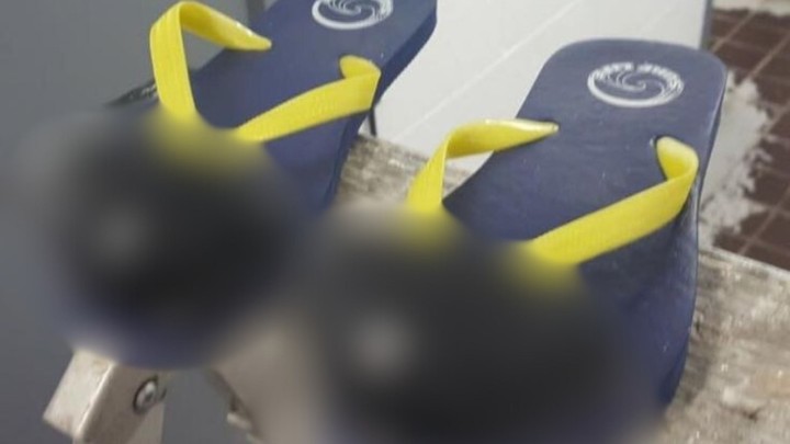 Foto dana: Kad bauštelac pred Advent mašta o ljetu