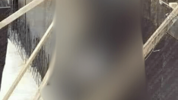 Foto: Ono kad nisi bio dobar kolega na gradilištu