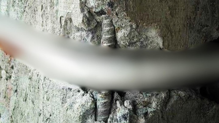 Foto: Ovom majstoru topla voda je važnija od statike