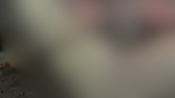 Foto: Evo kako se peče zanat