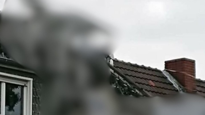 Foto: Stanari ove kuće održivost su možda ipak shvatili preozbiljno