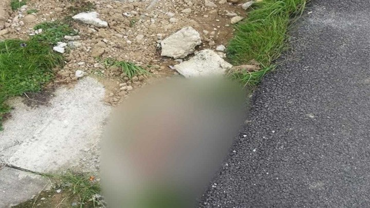 Foto: Novi sloj asfalta funkcionirat će sve dok ne padne obilna kiša