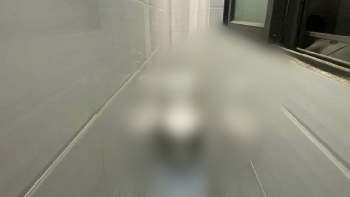 Foto: Ovaj toalet ne može koristiti svatko, ali bravo za majstora