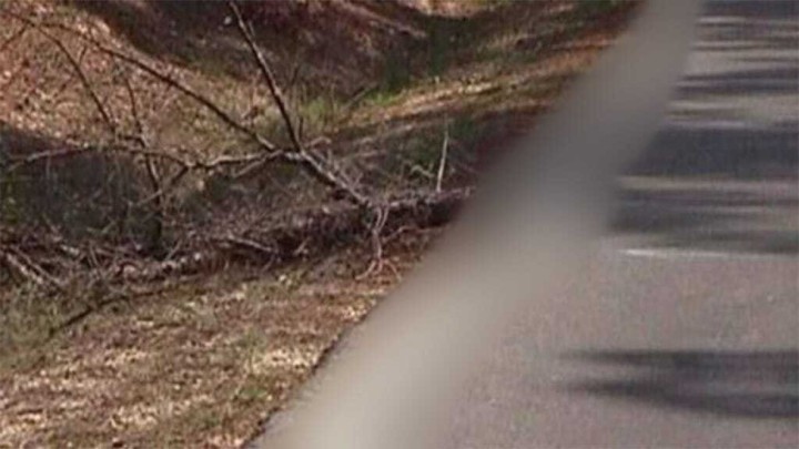 Foto: Kada radnici ignoriraju najjednostavnije zadatke