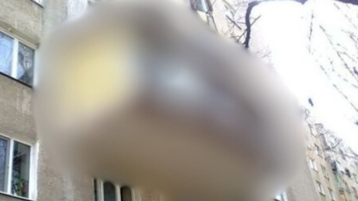 Foto: Kad voliš improvizirati, a zakon ti baš ništa ne znači