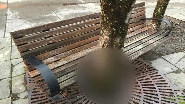 Foto: Kada klupica ne može biti bolje usklađena s prirodom