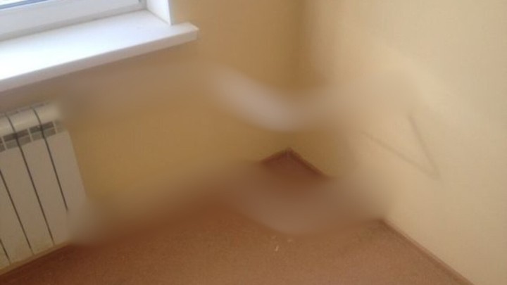 Foto: Kad cijevi ne odgovaraju baš najbolje