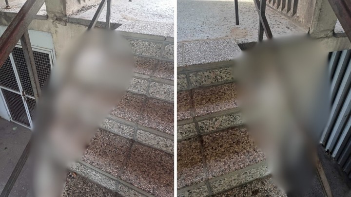 Foto: U jednom zagrebačkom kvartu majstor je bio jako kreativan