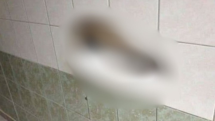 Foto: Kada majstor ima genijalnu ideju