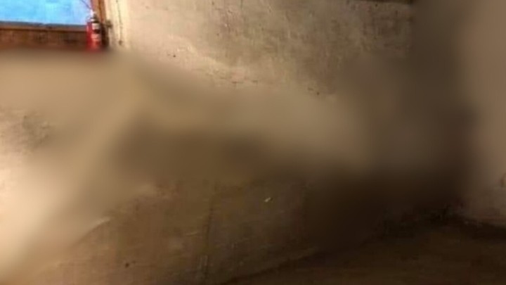 Foto: Postoje problemi koje ni pur pjena ne može riješiti