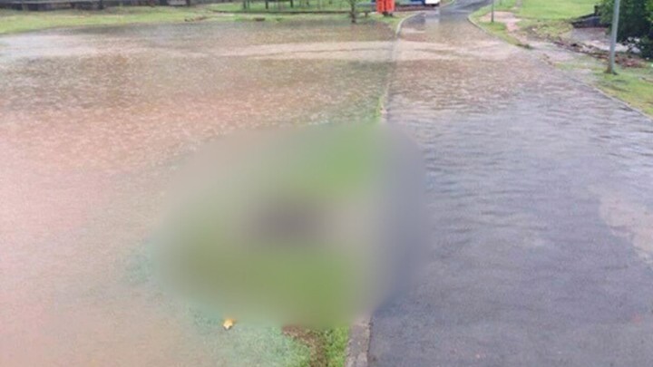 Foto: U postavljanju odvoda imali su jedan zadatak