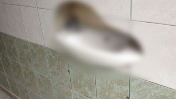 Foto: Kada nema puno mjesta, ali majstor ima originalno rješenje