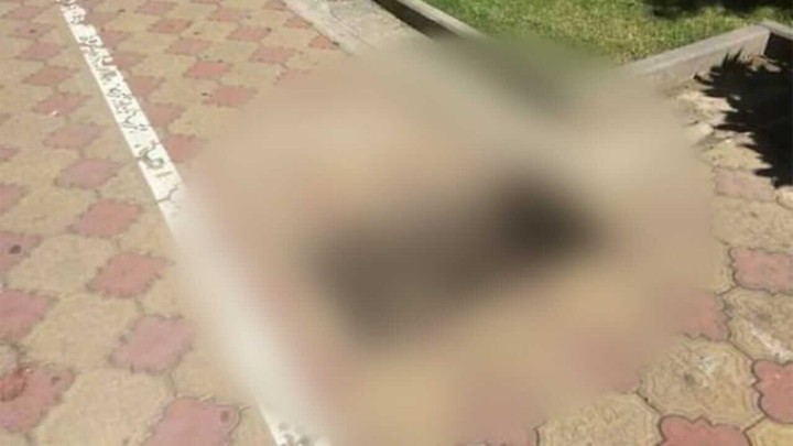 Foto: Zbog ovoga je najobičnija biciklistička staza postala iznimno opasna