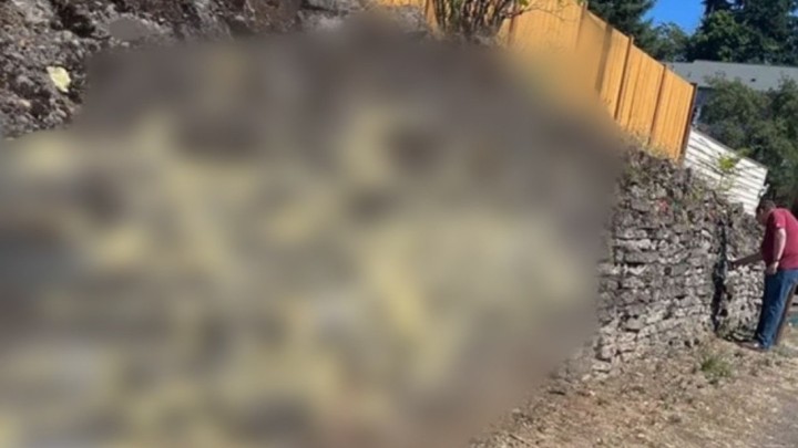 Foto: Samo je jedna - pur pjena!