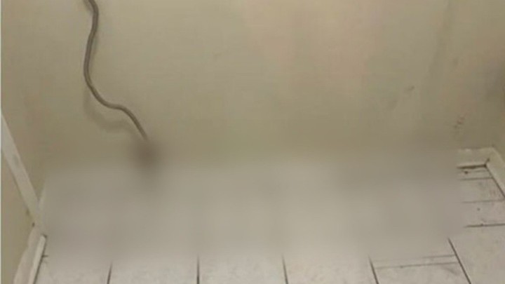 Foto: Kada fali pločica, ali keramičar je na visini zadatka