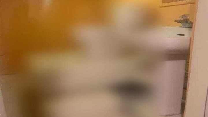 Foto: Zahod koji je zbog svojeg dizajna rezerviran samo za elitne korisnike