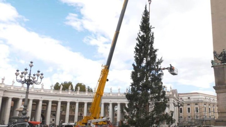 Foto: Teška mehanizacija zaslužna za postavljanje božićnog drvca u Vatikanu