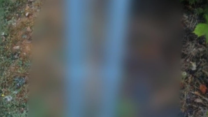 Foto: Da li je uopće imalo smisla ugrađivati ovu ogradu?!