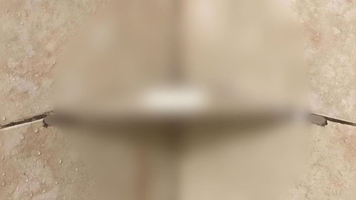 Foto: Dodatak za tuš bez kojega se moglo