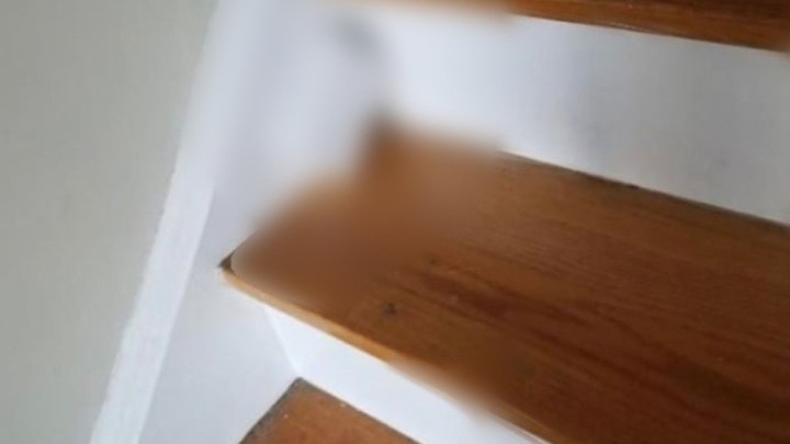 Foto: Stepenište s ugrađenim posebnim dodatkom