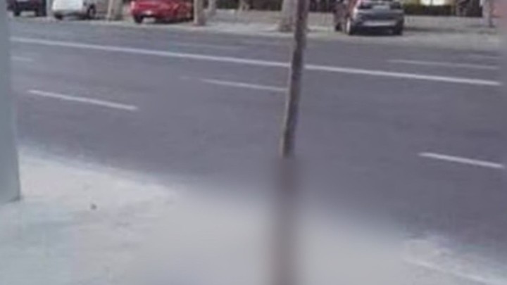 Foto: Uzaludno ozlenjavanje nogostupa