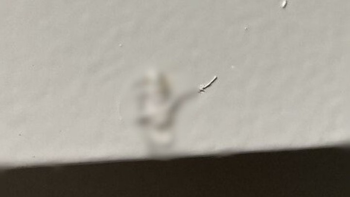 Foto: Ovo je stvarno neočekivani ishod jednostavnog krečenja