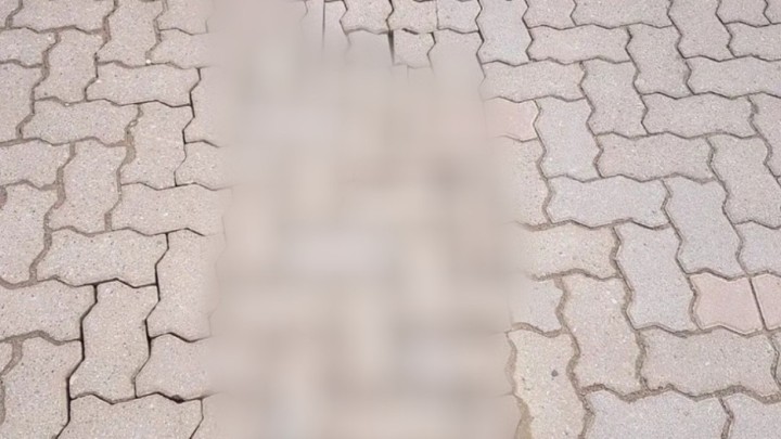 Foto: Neobična metoda popločavanja prilaza