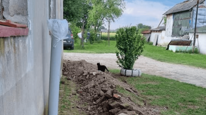 Foto: Dobro postavljen oluk spašava od poplave, a loše postavljen izgleda ovako