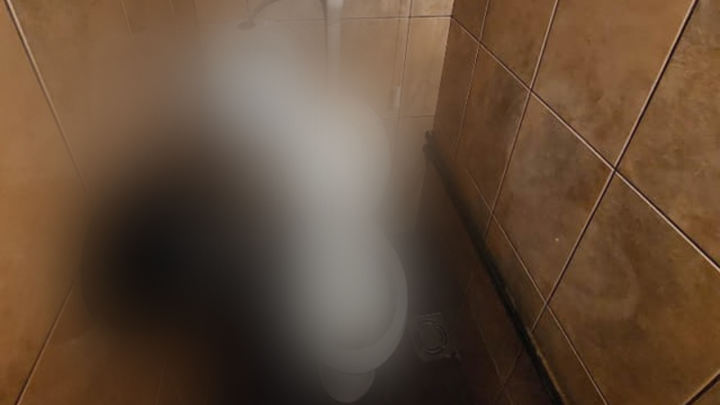 Foto: Ovakav raspored zahoda još niste vidjeli, wc i pisoar - 2 u 1