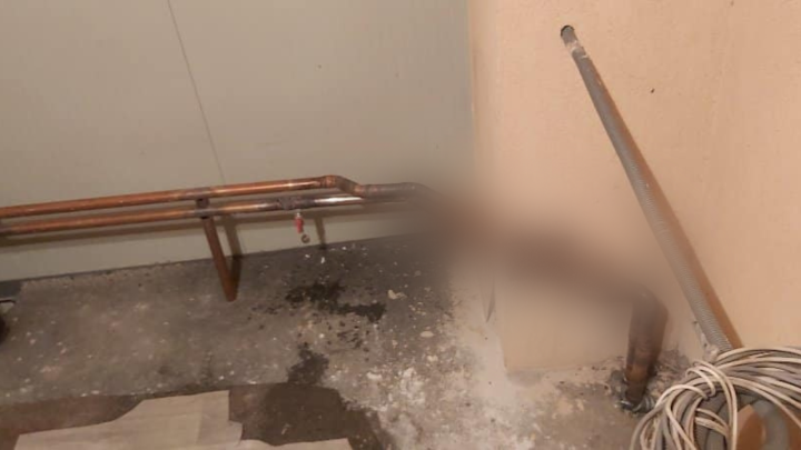 Foto: Kut vam stvara probleme? Pogledajte ovo 'kreativno' rješenje