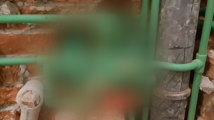 Foto: Bi li se itko mogao snaći u ovom kaosu od cijevi?