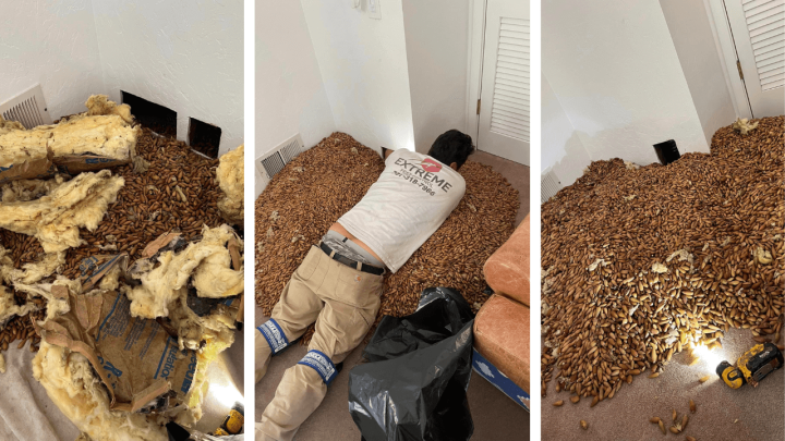 [FOTO] Obavljao radove u kući, a ovo ga je dočekalo: 'Nikad nisam naišao na ovako nešto'