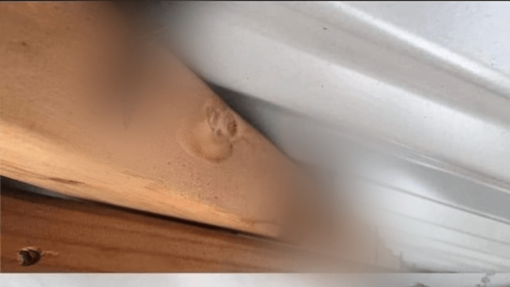 [FOTO] Za rubriku vjerovali ili ne: Ovo ne bi napravio ni najveći amater