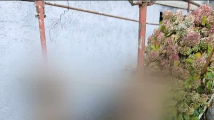 [FOTO] Kad se skela ovako postavi, 'nema' problema: Što može poći po zlu?