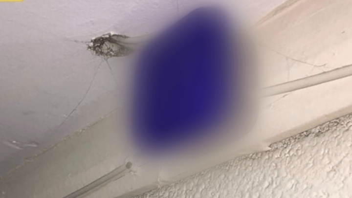 [FOTO] Kreativni električar pronašao zamjenu za razvodnu kutiju